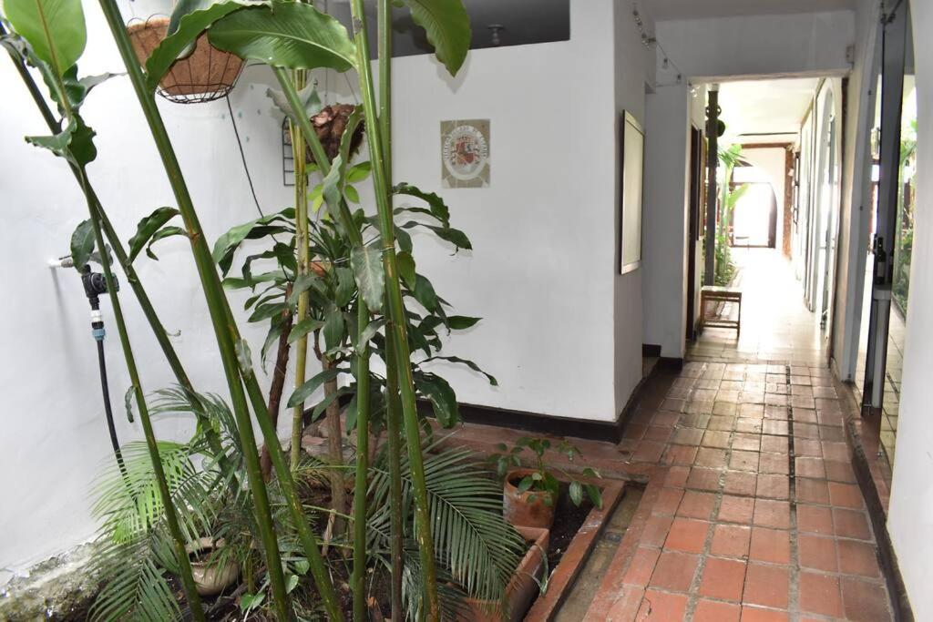 Chontaduro Casa Colonial En Pleno Centro Historico De Cali- Se Alquila La Casa Entera 12 O 13 Personas O Por Cali